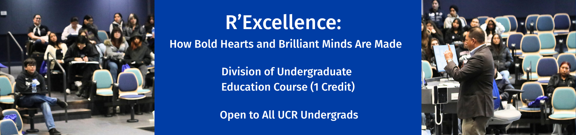 rexcellence banner image
