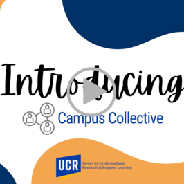Campus Collective Video