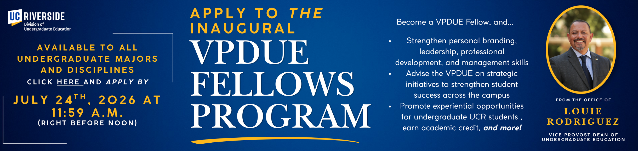 VPDUE Fellow's Program banner image