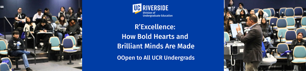 rexcellence banner image