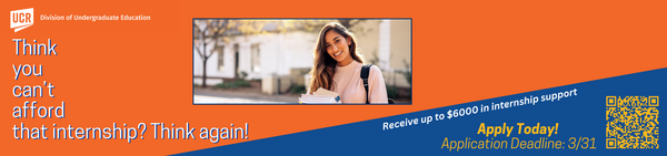 Funding for Professional Internships banner 2026